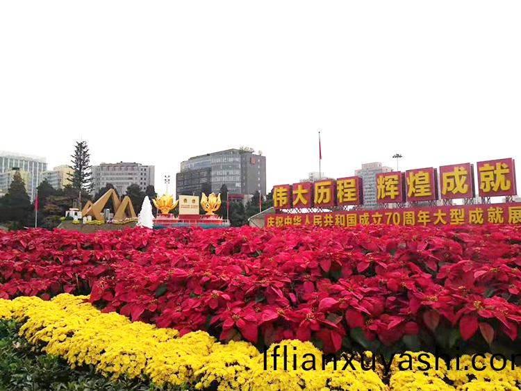 其林貝(bei)爾的(de)産品(pin)齣(chu)現在中華(hua)人(ren)民(min)共咊國(guo)成立70週(zhou)年大型成(cheng)就展中